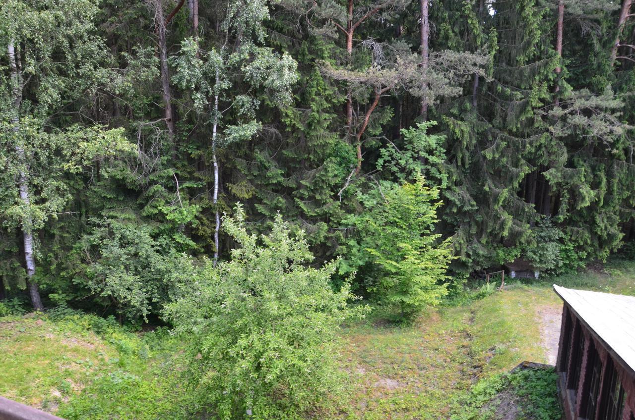 Zajazd Lesny Czarna Bialostocka Exteriér fotografie